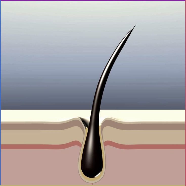 Clinical high-end laser application handle piece device tool close up